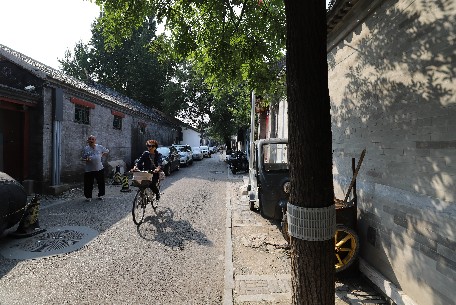 百花深处胡同：京城秘境中的诗意栖居