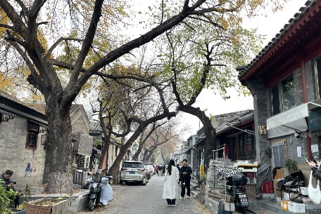 菊儿胡同：历史与现代交织的胡同文化