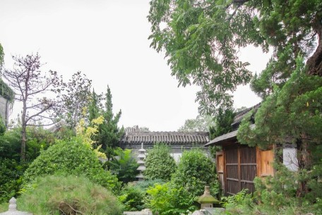 近200平方米老旧车棚拆除 姚家井小区开启安全升级新篇章