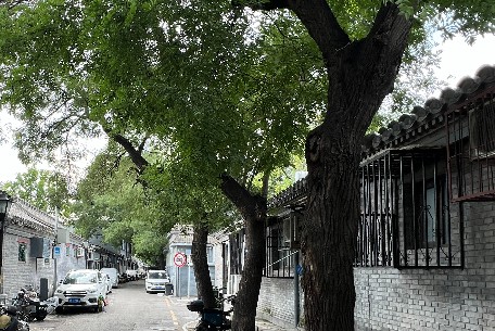 150岁东莞会馆重现“原汁原味”