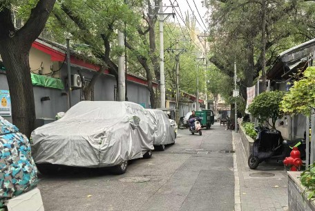 月坛街道开展“社区统一行动日”活动 以实干担当绘就共建共治新画卷