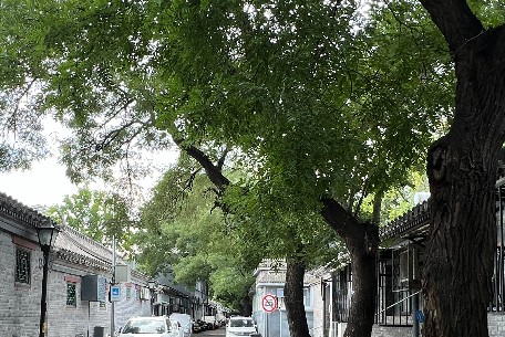 东城区开启社会体育指导员技能培训，全民健身再添动力